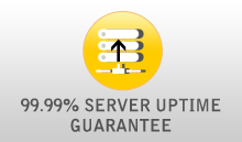 99.99% server uptime
